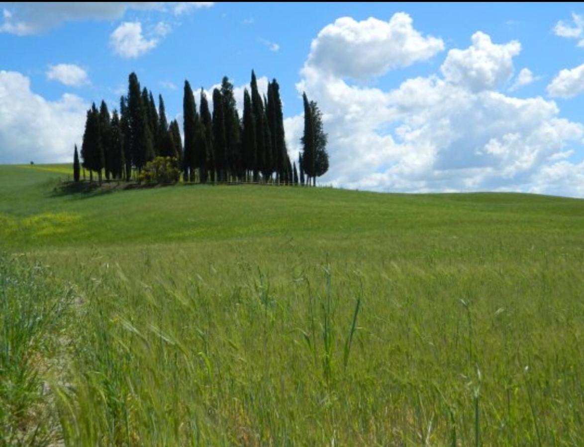 Resort Cordella In Valdorcia Truffle And Olive Oil Montalcino