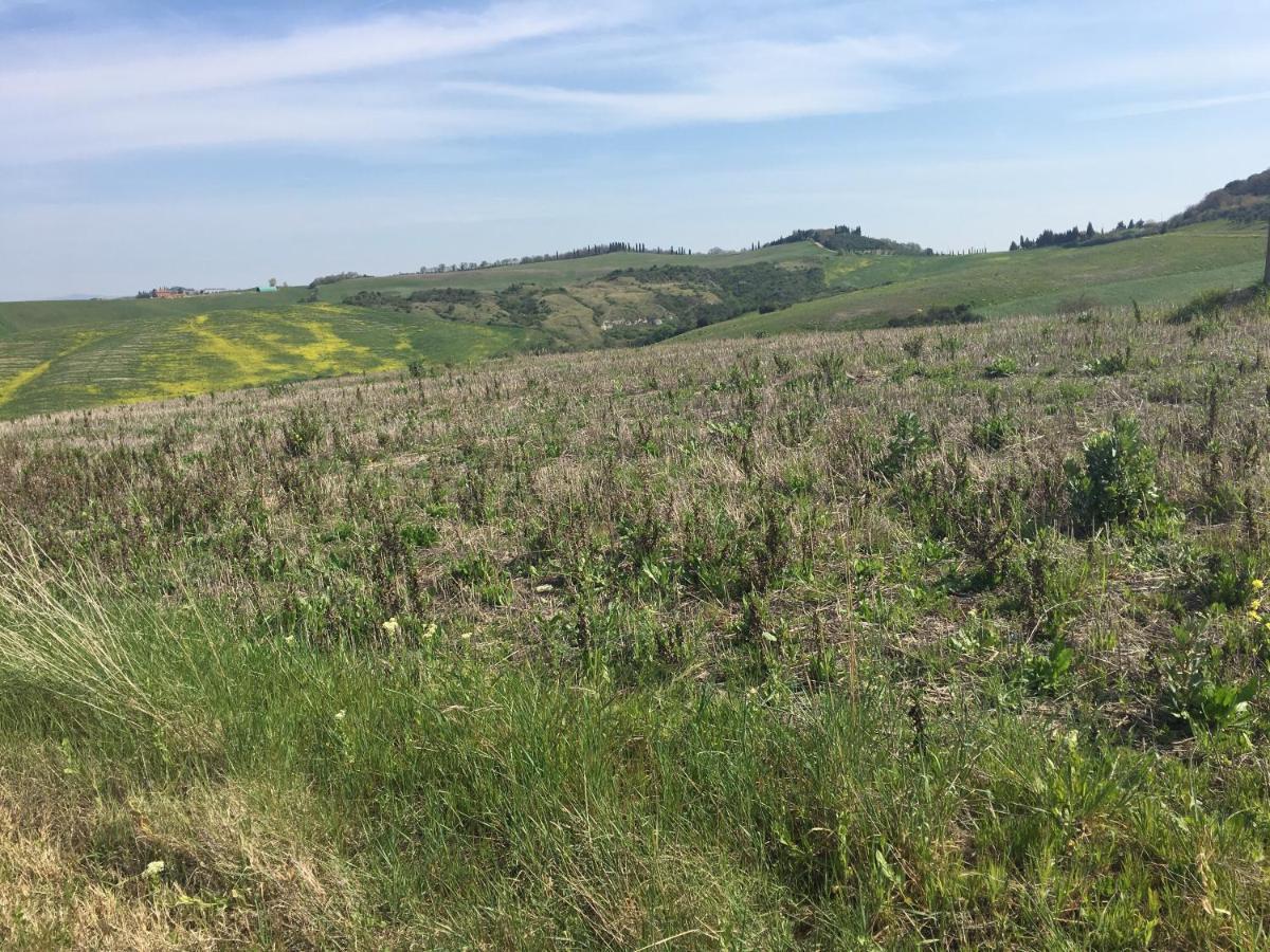 Cordella In Valdorcia Truffle And Olive Oil Montalcino