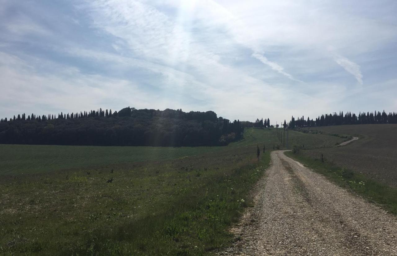 Cordella In Valdorcia Truffle And Olive Oil * Montalcino