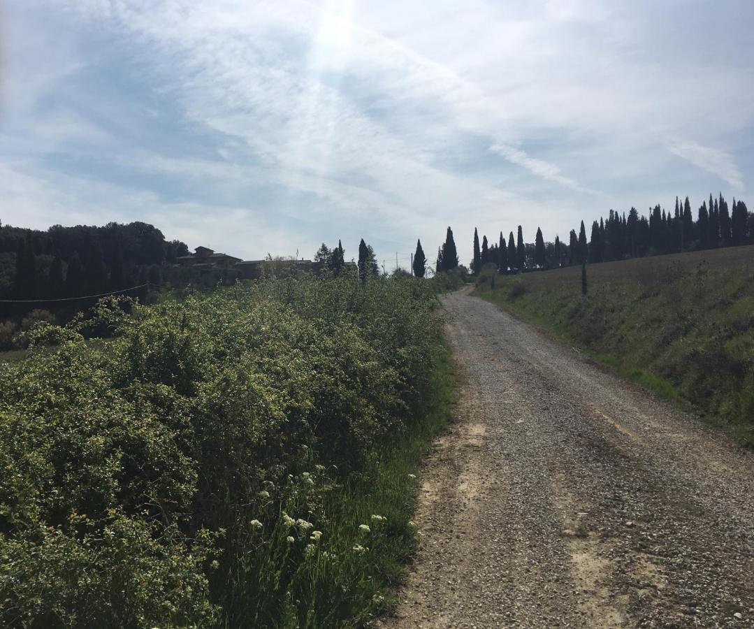 Resort Cordella In Valdorcia Truffle And Olive Oil *