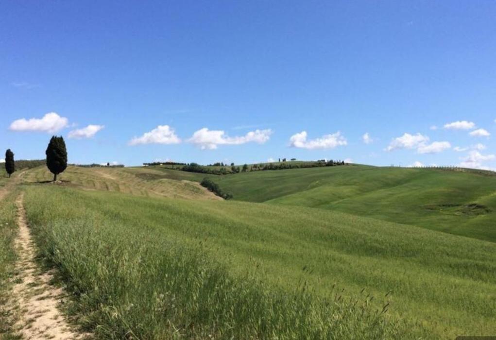Cordella In Valdorcia Truffle And Olive Oil * Montalcino