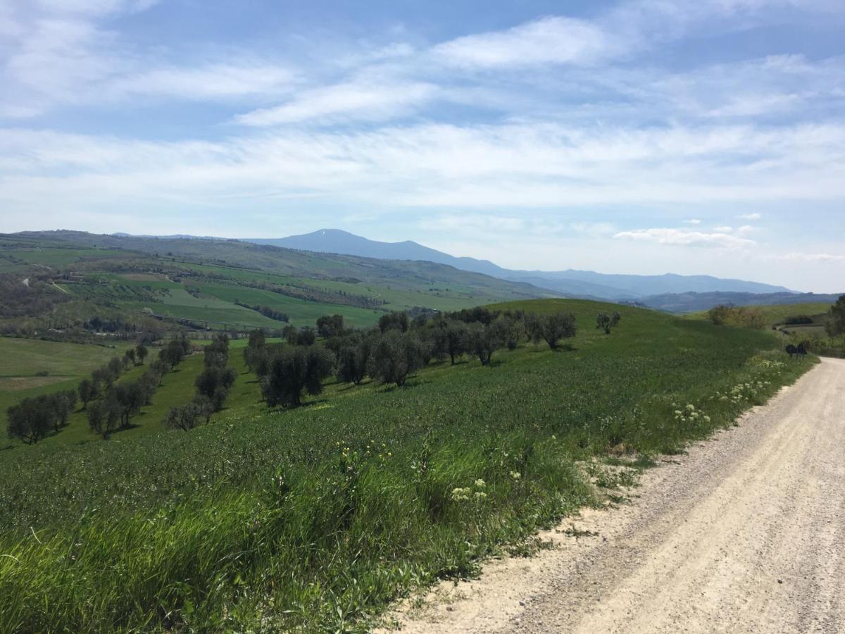 Cordella In Valdorcia Truffle And Olive Oil Resort Montalcino