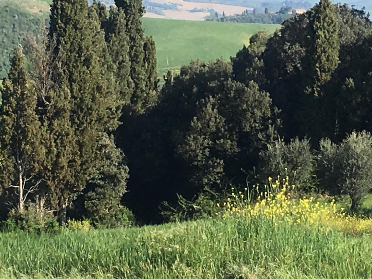Cordella In Valdorcia Truffle And Olive Oil Montalcino